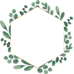 eucalyptus_wreath01.png