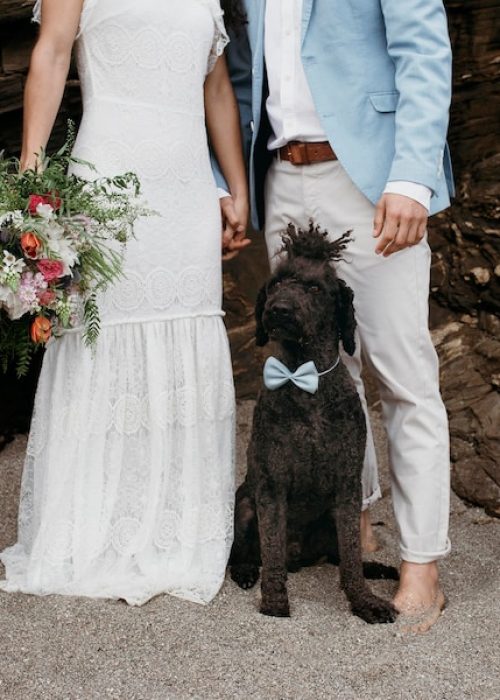 hermosa-pareja-celebrando-su-boda-playa_23-2149003505